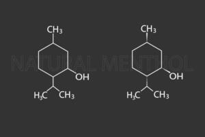 natuurlijk menthol moleculair skelet- chemisch formule vector