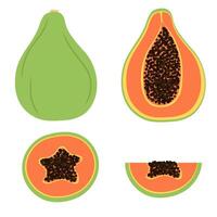 hand- geschilderd exotisch papaja fruit geheel, voor de helft en plak geïsoleerd Aan wit vlak illustratie vector