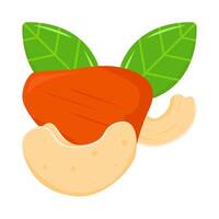 achtervolgen fruit met cachou noot illustratie vector