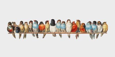 Een baars van vogels (1880) door Hector Giacomelli (1822-1904). Digitaal verbeterd door rawpixel. vector