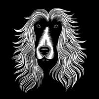 afghaan hond, zwart en wit vector illustratie