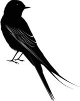 ai gegenereerd silhouet slikken vogel zwart kleur enkel en alleen vol lichaam vector