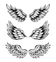 illustratie van vleugels collectie set vector