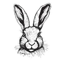 gezicht konijn portret, wijnoogst grafisch illustratie, ontwerp voor posters en ansichtkaart vector