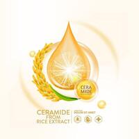 ceramide van rijst- extract serum huid zorg kunstmatig vector