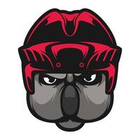 koala hockey helm vector