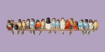 Een baars van vogels (1880) door Hector Giacomelli (1822-1904). Digitaal verbeterd door rawpixel. vector