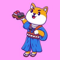 schattig shiba inu hond Japans kimono Holding sushi en eetstokje tekenfilm vector pictogrammen illustratie. vlak tekenfilm concept. geschikt voor ieder creatief project.