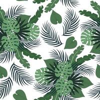 naadloos patroon met hand- getrokken tropisch monstera en palm bladeren Aan wit achtergrond. vector