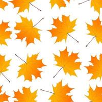 herfstpatroon geel van esdoornbladeren getekend in vectorafbeelding vector
