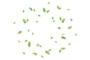 vliegend groen thee bladeren. vector illustratie voor omslag, banier, poster, kaart, web en verpakking.