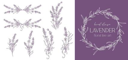 lavendel lijn tekening. zwart en wit bloemen boeketten. bloem kleur bladzijde. bloemen lijn kunst. prima lijn lavendel illustratie. hand- getrokken bloemen. botanisch kleuren. bruiloft uitnodiging bloemen vector