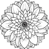 dahlia bloem kleur Pagina's. dahlia bloemen schets vector