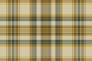 tartan geruit patroon met textuur en warme kleur. vector