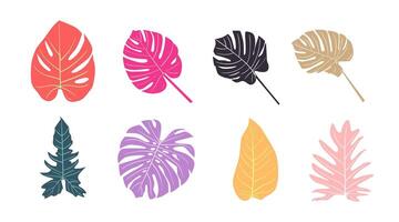vector verzameling van illustraties van tropisch gebladerte bladeren