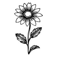 hand- getrokken bloem zwart schets vector geïsoleerd Aan wit achtergrond.