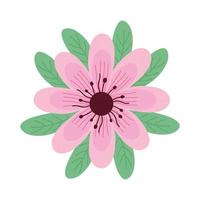 schattige roze bloem en bladeren lente icoon vector