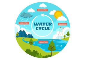 water fiets vector illustratie met verdamping, condensatie, neerslag naar verzameling in aarde natuurlijk milieu in vlak tekenfilm achtergrond