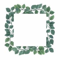 ronde eucalyptus grens clip art voor bruiloft uitnodigingen, groen decoratie. vector