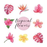 tropisch waterverf bloem set. mooi hand- getrokken illustratie vector