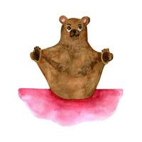 aanbiddelijk waterverf bruin beer aan het doen yoga. vector