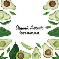 creatief lay-out gemaakt van waterverf avocado vector