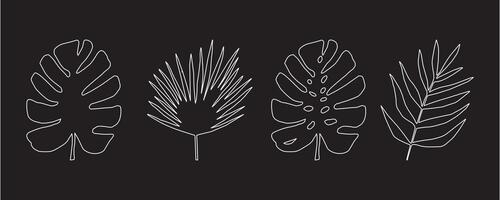 reeks van monochore silhouetten van tropisch bladeren. vector botanisch illustraties, bloemen elementen, monster, palm bladeren. hand- getrokken fabriek voor decoratie.