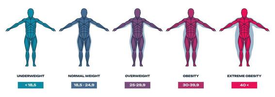 lichaam massa inhoudsopgave. menselijk silhouet met verschillend vormen en maten, ondergewicht, te zwaar en zwaarlijvig mensen. massa inhoudsopgave tabel vector illustratie