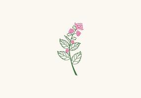 logo protea bloem kleurrijk, bloemen botanisch schoonheid logo. bewerkbare het dossier vector