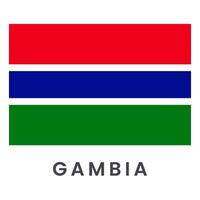 vlag van Gambia vector illustratie geïsoleerd Aan wit achtergrond.