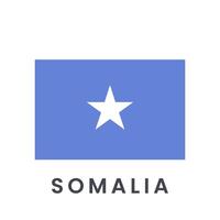 vector illustratie van Somalië vlag geïsoleerd Aan wit achtergrond.