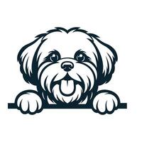 ai gegenereerd zwart en wit lhasa apso gluren gezicht illustratie vector