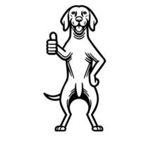 ai gegenereerd vizsla hond gelukkig duimen omhoog illustratie vector