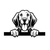 ai gegenereerd zwart en wit coonhound hond gluren gezicht silhouet illustratie vector