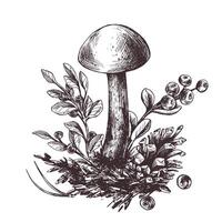 champignons Woud boletus met gras, bosbessen, mos en ijshoorntje. grafisch botanisch illustratie hand- getrokken in bruin inkt. voor recepten, verpakking, herfst festival, oogst. geïsoleerd samenstelling vector