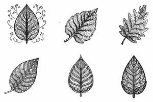 schetsen bladeren reeks schets vector illustratie Aan wit achtergrond