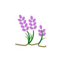 lavendel icoon vector ontwerp Sjablonen