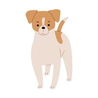 jack Russell single schattig Aan een wit achtergrond, vector illustratie.