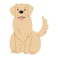 gouden retriever schattig Aan een wit achtergrond, vector illustratie.