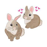 illustratie van konijn paar vector