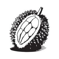durian vector kunst, pictogrammen, en grafiek