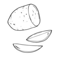 tekening aardappel plakjes in vector schetsen