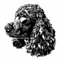 poedel hond gezicht zwart en wit voorraad vector