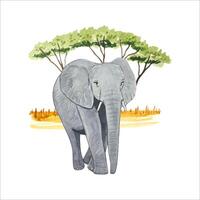 waterverf samenstelling met olifant in savanne. tropisch ontwerp. vector