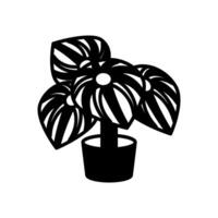 peperomia icoon in vector. logotype vector