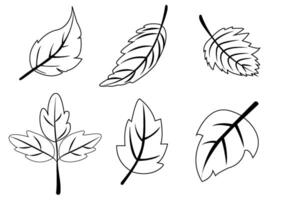 vector illustratie met een verzameling van zes verschillend blad ontwerpen in zwart en wit, ideaal voor lente-thema grafiek