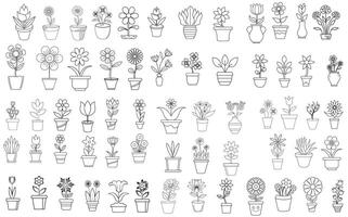 bloemen en potten, interieur ontwerp, mooi bloemen planten, fabriek schets tekening vector set, vetplanten in potten. bloemen in een pot.