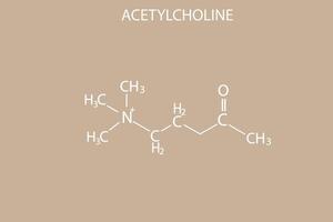 acetylcholine moleculair skelet- chemisch formule vector