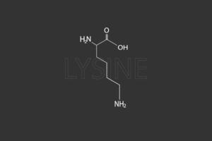 lysine moleculair skelet- chemisch formule vector