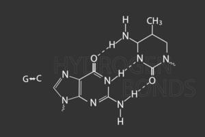 waterstof obligaties moleculair skelet- chemisch formule vector